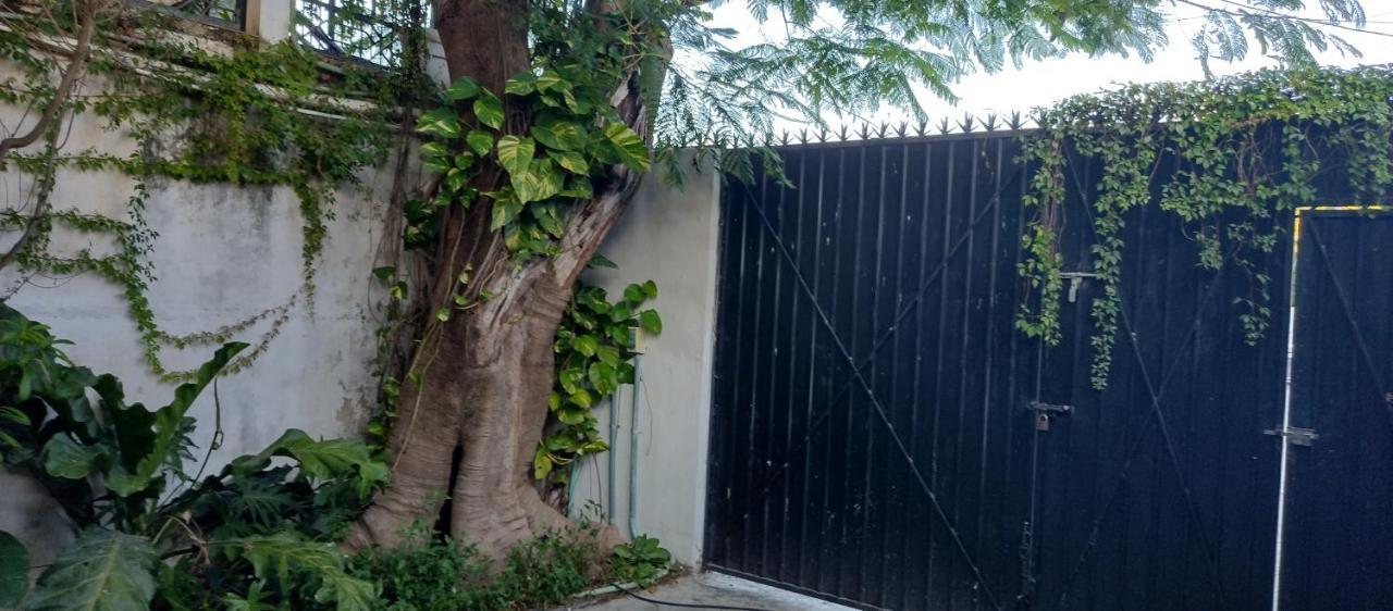 Estudio Zona Centro Cerca De La Terminal Ado Cancun Exterior photo
